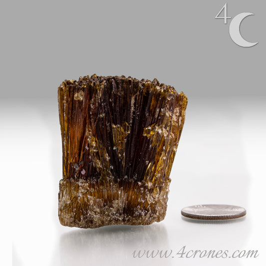 Metaphysically, Amber Calcite radiates vitality, optimism, and grounding warmth. Its energy cleanses spaces, amplifies intentions, and supports confidence, motivation, and clarity