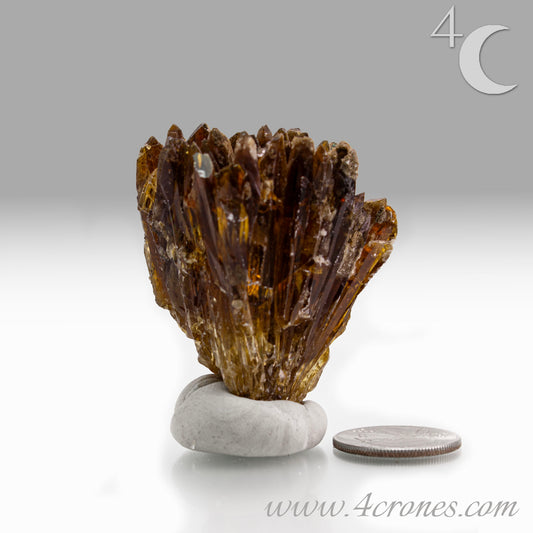 Metaphysically, Amber Calcite radiates vitality, optimism, and grounding warmth. Its energy cleanses spaces, amplifies intentions, and supports confidence, motivation, and clarity