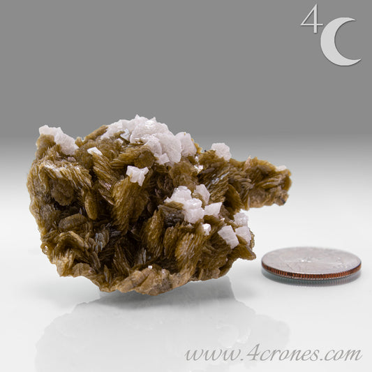 This unique pairing of Siderite, an iron carbonate mineral, and Dolomite, a calcium magnesium carbonate, forms in earthy clusters and blocky crystals that range from honeyed brown to soft cream.