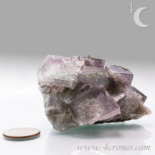 Fluorite & Pyrite beautiful lavender and soft green. This unique specimen of fluorite shimmers in soft bands of lavender and green, a natural harmony of color and energy. Composed of calcium fluoride, fluorite is valued for its cubic crystal formation and its ability to bring mental clarity and energetic alignment.