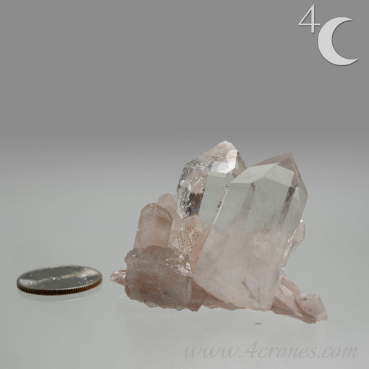 Our Lithium Quartz crystals are to die for. These dazzling specimens are astonishingly crystal clear with the softest touches of pinks and mauves. The Lumerian lines are so crisp and clean you can almost hear the ancient stories pouring out of them. These beauties will take your breath away, we kid you not. www.4crones.com