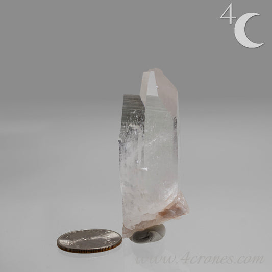 Our Lithium Quartz crystals are to die for. These dazzling specimens are astonishingly crystal clear with the softest touches of pinks and mauves. The Lumerian lines are so crisp and clean you can almost hear the ancient stories pouring out of them. These beauties will take your breath away, we kid you not. www.4crones.com