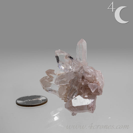 Our Lithium Quartz crystals are to die for. These dazzling specimens are astonishingly crystal clear with the softest touches of pinks and mauves. The Lumerian lines are so crisp and clean you can almost hear the ancient stories pouring out of them. These beauties will take your breath away, we kid you not. www.4crones.com