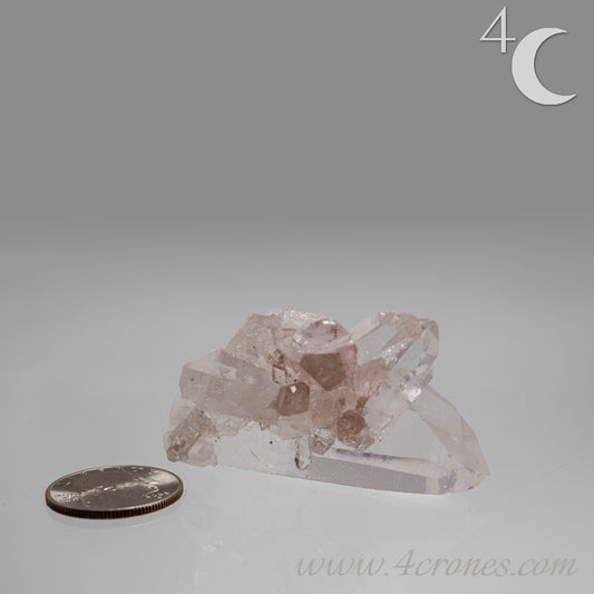 Our Lithium Quartz crystals are to die for. These dazzling specimens are astonishingly crystal clear with the softest touches of pinks and mauves. The Lumerian lines are so crisp and clean you can almost hear the ancient stories pouring out of them. These beauties will take your breath away, we kid you not. www.4crones.com