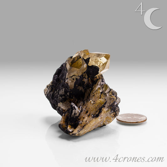 Kundalini Citrine Quartz is a stunning and rare variety of Citrine found exclusively in the Democratic Republic of Congo. This Natural Citrine is also characterized by a distinct formation of multiple terminated smaller Kundalini Quartz crystals.
