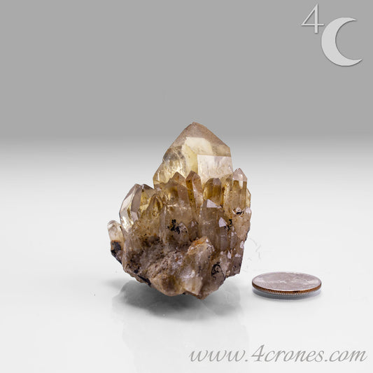 Kundalini Citrine Quartz is a stunning and rare variety of Citrine found exclusively in the Democratic Republic of Congo. This Natural Citrine is also characterized by a distinct formation of multiple terminated smaller Kundalini Quartz crystals.
