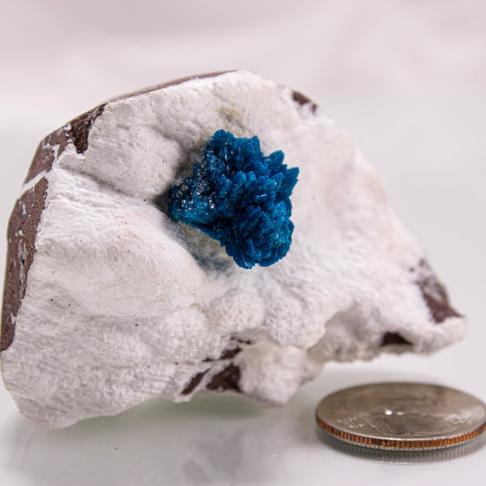 Cavansite is a rare calcium vanadium silicate mineral prized for its vivid blue color and rosette-like crystal formations