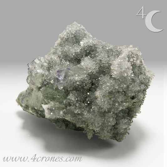 These beautiful green fluorites have enchanting delicate blue-purple phantoms. They are nestled in a dazzling bed of sparkling needle quartz and their subtlety and color shifts under various light sources create the feeling of being on a treasure hunt. Suddenly, another purple-blue phantom fluorite crystal appears amidst the crystal-clear twinkling needle quartz points. To top it off these amazing specimens glow and fluoresce a deep Lavendar under UV light. www.4crones.com
