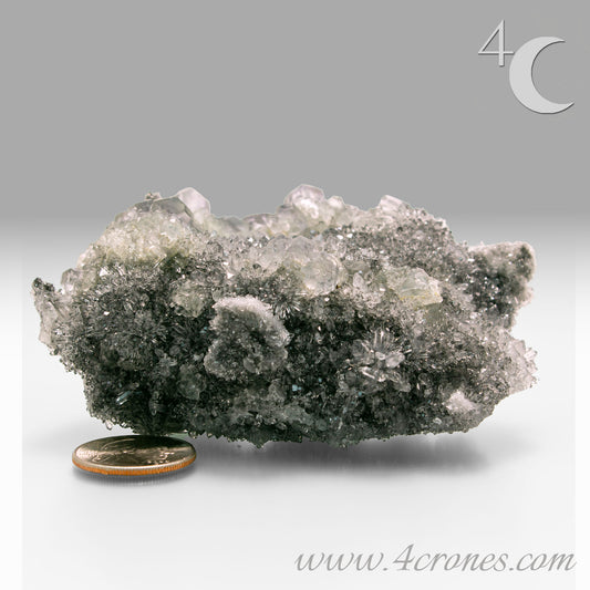 These beautiful green fluorites have enchanting delicate blue-purple phantoms. They are nestled in a dazzling bed of sparkling needle quartz and their subtlety and color shifts under various light sources create the feeling of being on a treasure hunt. Suddenly, another purple-blue phantom fluorite crystal appears amidst the crystal-clear twinkling needle quartz points. To top it off these amazing specimens glow and fluoresce a deep Lavendar under UV light. www.4crones.com