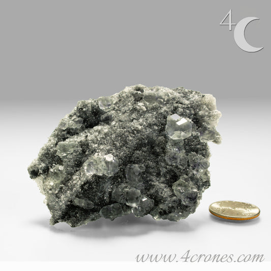 These beautiful green fluorites have enchanting delicate blue-purple phantoms. They are nestled in a dazzling bed of sparkling needle quartz and their subtlety and color shifts under various light sources create the feeling of being on a treasure hunt. Suddenly, another purple-blue phantom fluorite crystal appears amidst the crystal-clear twinkling needle quartz points. To top it off these amazing specimens glow and fluoresce a deep Lavendar under UV light. www.4crones.com