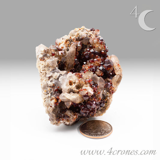These gemmy Garnets are known as Spessartine Red Garnets, and they encrust and surround beautiful Smoky Quartz crystals on microcline feldspar matrices. The mine these specimens come from is known for the beautiful blingy red- and orange-colored garnets that they yield. www.4crones.com
