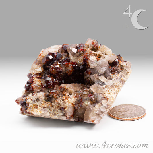 These gemmy Garnets are known as Spessartine Red Garnets, and they encrust and surround beautiful Smoky Quartz crystals on microcline feldspar matrices. The mine these specimens come from is known for the beautiful blingy red- and orange-colored garnets that they yield. www.4crones.com