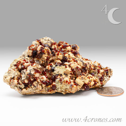 These gemmy Garnets are known as Spessartine Red Garnets, and they encrust and surround beautiful Smoky Quartz crystals on microcline feldspar matrices. The mine these specimens come from is known for the beautiful blingy red- and orange-colored garnets that they yield. www.4crones.com