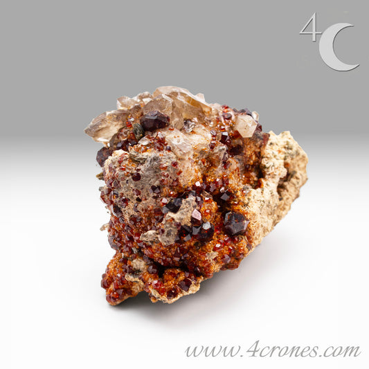 These gemmy Garnets are known as Spessartine Red Garnets, and they encrust and surround beautiful Smoky Quartz crystals on microcline feldspar matrices. The mine these specimens come from is known for the beautiful blingy red- and orange-colored garnets that they yield. www.4crones.com