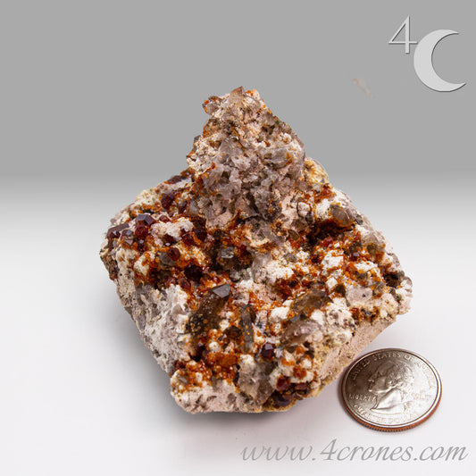 These gemmy Garnets are known as Spessartine Red Garnets, and they encrust and surround beautiful Smoky Quartz crystals on microcline feldspar matrices. The mine these specimens come from is known for the beautiful blingy red- and orange-colored garnets that they yield. www.4crones.com