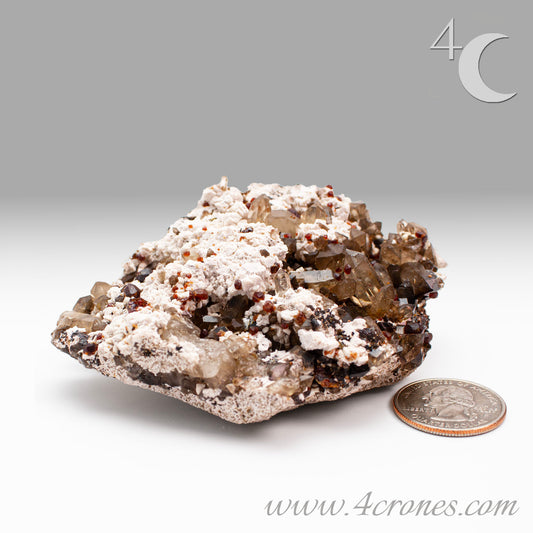 These gemmy Garnets are known as Spessartine Red Garnets, and they encrust and surround beautiful Smoky Quartz crystals on microcline feldspar matrices. The mine these specimens come from is known for the beautiful blingy red- and orange-colored garnets that they yield. www.4crones.com