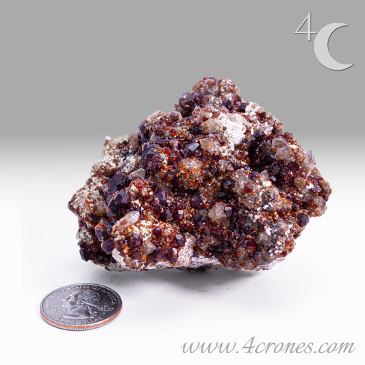 These gemmy Garnets are known as Spessartine Red Garnets, and they encrust and surround beautiful Smoky Quartz crystals on microcline feldspar matrices. The mine these specimens come from is known for the beautiful blingy red- and orange-colored garnets that they yield. www.4crones.com