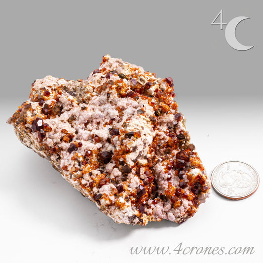 These gemmy Garnets are known as Spessartine Red Garnets, and they encrust and surround beautiful Smoky Quartz crystals on microcline feldspar matrices. The mine these specimens come from is known for the beautiful blingy red- and orange-colored garnets that they yield. www.4crones.com