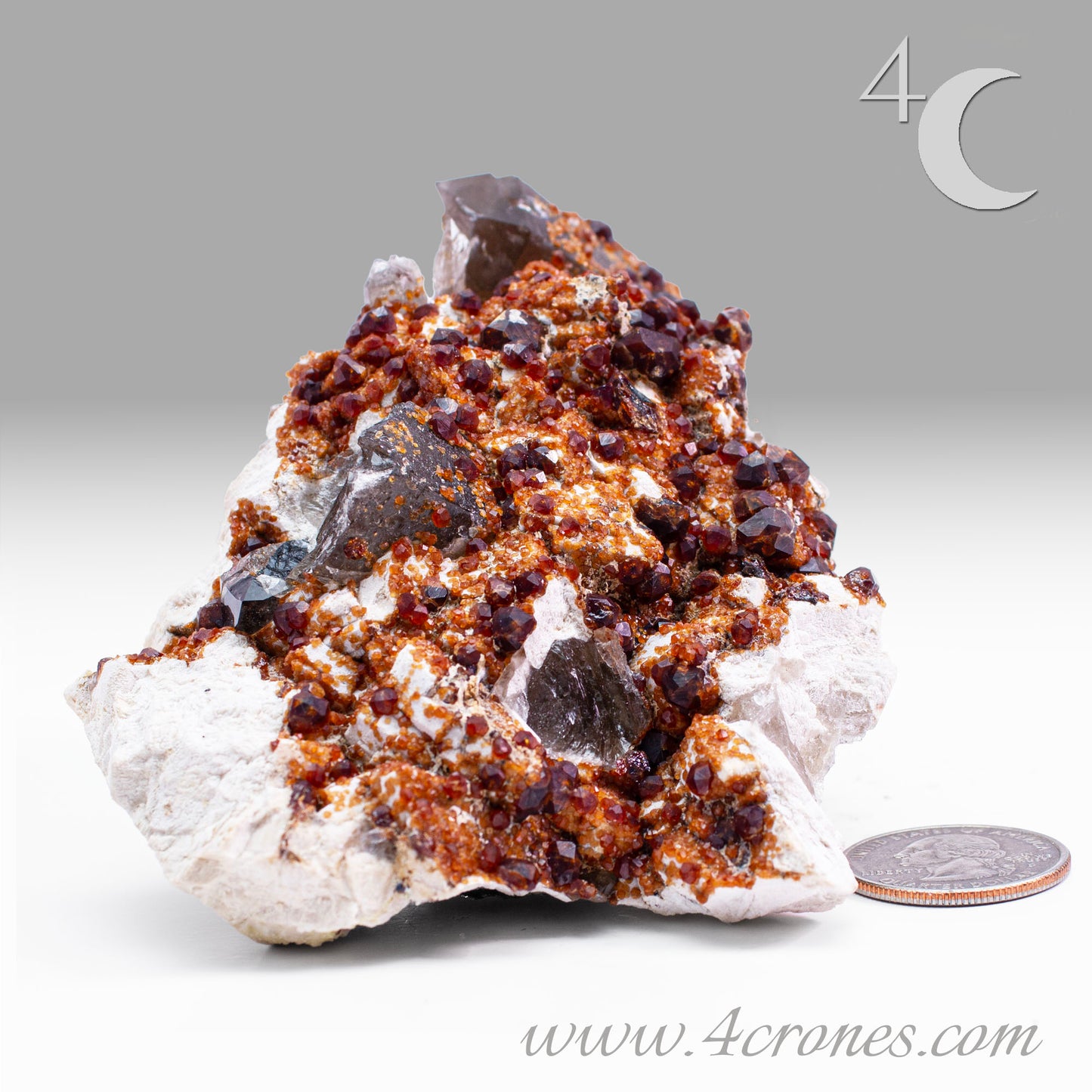 These gemmy Garnets are known as Spessartine Red Garnets, and they encrust and surround beautiful Smoky Quartz crystals on microcline feldspar matrices. The mine these specimens come from is known for the beautiful blingy red- and orange-colored garnets that they yield. www.4crones.com