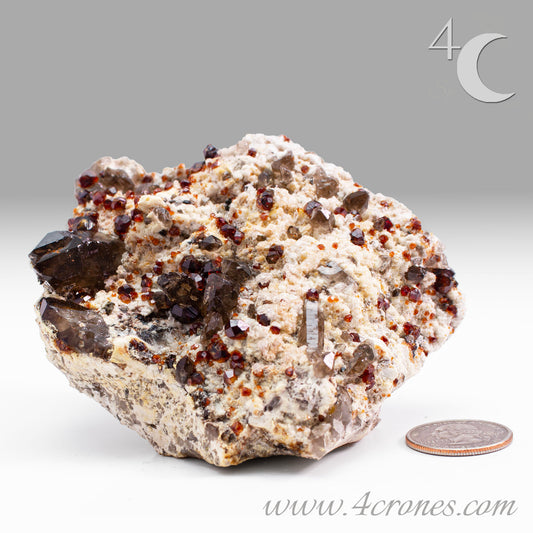 These gemmy Garnets are known as Spessartine Red Garnets, and they encrust and surround beautiful Smoky Quartz crystals on microcline feldspar matrices. The mine these specimens come from is known for the beautiful blingy red- and orange-colored garnets that they yield. www.4crones.com