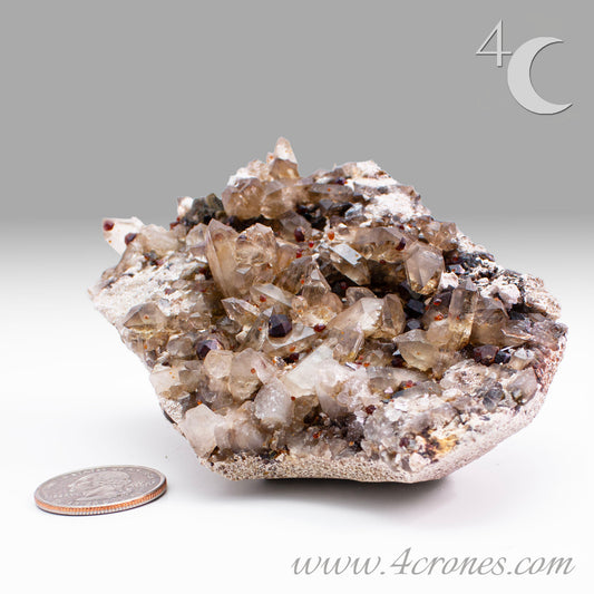 These gemmy Garnets are known as Spessartine Red Garnets, and they encrust and surround beautiful Smoky Quartz crystals on microcline feldspar matrices. The mine these specimens come from is known for the beautiful blingy red- and orange-colored garnets that they yield. www.4crones.com