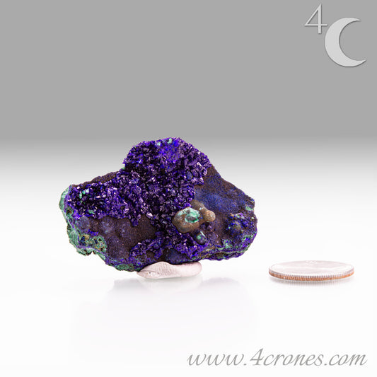 739-B Azurite-Malachite Super Gemmy Crystals / 4 Crones