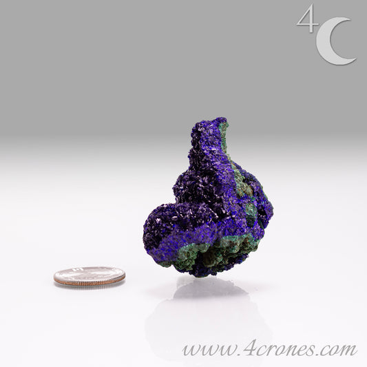 4 Crones Azurite-Malachite specimens are so luscious, with spectacular gemmy azurite crystals showing off the heavenly deep blue colors they are renowned for. They can be found in combination with Malachite acting as a “matrix” of sorts. Azurite is often found in nature mixed with Malachite. With more water content Azurite becomes Malachite. We think of them as siblings whose differing energies complement each other:) www.4crones.com