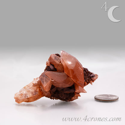 Red Diamond Calcite, glassy, gemmy diamond shaped geometries otherwise known as rhombohedrons and or scalenohedrons are combined with iron oxide hematoid inclusions. www.4crones.com