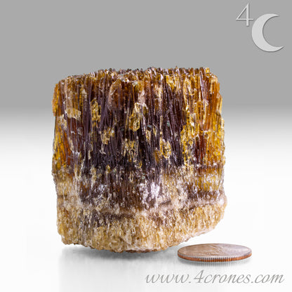 Metaphysically, Amber Calcite radiates vitality, optimism, and grounding warmth. Its energy cleanses spaces, amplifies intentions, and supports confidence, motivation, and clarity