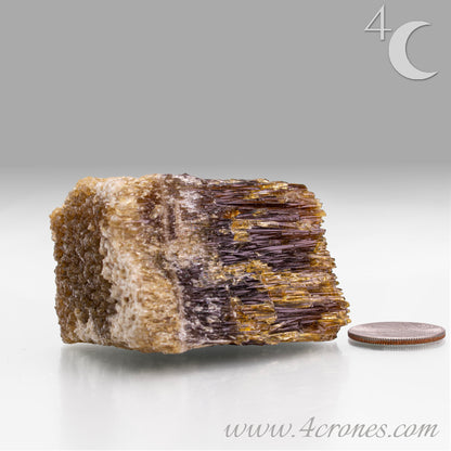 Metaphysically, Amber Calcite radiates vitality, optimism, and grounding warmth. Its energy cleanses spaces, amplifies intentions, and supports confidence, motivation, and clarity