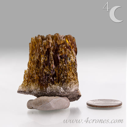 Metaphysically, Amber Calcite radiates vitality, optimism, and grounding warmth. Its energy cleanses spaces, amplifies intentions, and supports confidence, motivation, and clarity