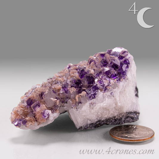 This exquisite specimen presents a rare and visually captivating combination: soft pink Rhodochrosite rosettes bloom across a sparkling bed of Quartz crystals, punctuated by sharply defined purple Fluorite cubes—some with phantom or window-like zoning. 