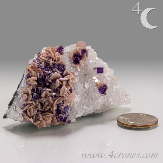 This exquisite specimen presents a rare and visually captivating combination: soft pink Rhodochrosite rosettes bloom across a sparkling bed of Quartz crystals, punctuated by sharply defined purple Fluorite cubes—some with phantom or window-like zoning. 