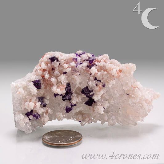 This complex and texturally rich specimen features a matrix of clear Quartz crystals scattered with pastel Rhodochrosite, sharp Purple Fluorite cubes, and creamy Dolomite crystals. 