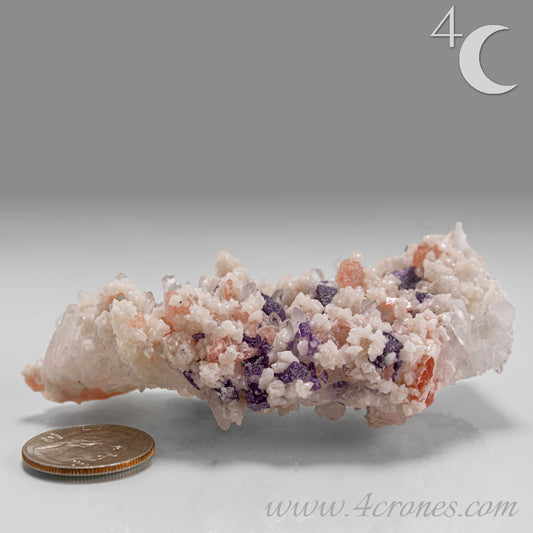 This complex and texturally rich specimen features a matrix of clear Quartz crystals scattered with pastel Rhodochrosite, sharp Purple Fluorite cubes, and creamy Dolomite crystals. 