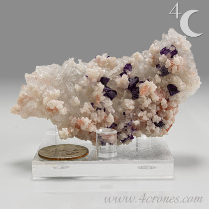 This complex and texturally rich specimen features a matrix of clear Quartz crystals scattered with pastel Rhodochrosite, sharp Purple Fluorite cubes, and creamy Dolomite crystals. 