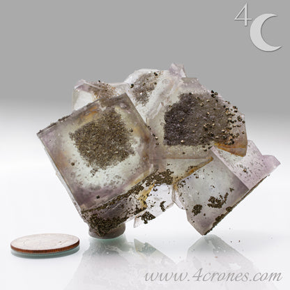 Fluorite & Pyrite beautiful lavender and soft green. This unique specimen of fluorite shimmers in soft bands of lavender and green, a natural harmony of color and energy. Composed of calcium fluoride, fluorite is valued for its cubic crystal formation and its ability to bring mental clarity and energetic alignment.