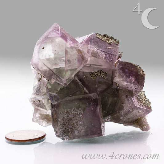 Fluorite & Pyrite beautiful lavender and soft green. This unique specimen of fluorite shimmers in soft bands of lavender and green, a natural harmony of color and energy. Composed of calcium fluoride, fluorite is valued for its cubic crystal formation and its ability to bring mental clarity and energetic alignment.