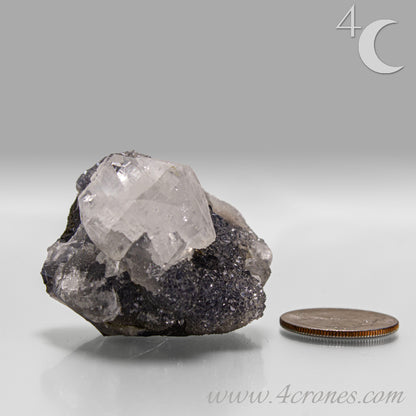 Apophyllite with chalcedony crystal cluster from India, clear apophyllite crystals on dark chalcedony matrix.