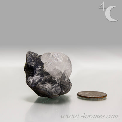 Apophyllite with chalcedony crystal cluster from India, clear apophyllite crystals on dark chalcedony matrix.