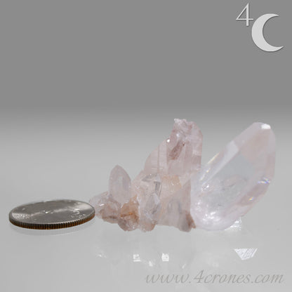 Our Lithium Quartz crystals are to die for. These dazzling specimens are astonishingly crystal clear with the softest touches of pinks and mauves. The Lumerian lines are so crisp and clean you can almost hear the ancient stories pouring out of them. These beauties will take your breath away, we kid you not. www.4crones.com