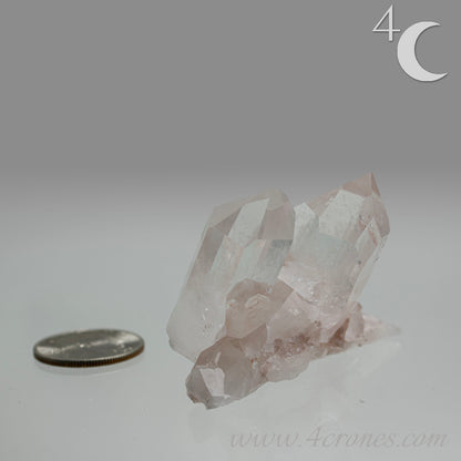 Our Lithium Quartz crystals are to die for. These dazzling specimens are astonishingly crystal clear with the softest touches of pinks and mauves. The Lumerian lines are so crisp and clean you can almost hear the ancient stories pouring out of them. These beauties will take your breath away, we kid you not. www.4crones.com