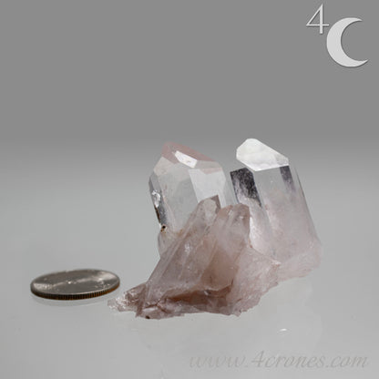 Our Lithium Quartz crystals are to die for. These dazzling specimens are astonishingly crystal clear with the softest touches of pinks and mauves. The Lumerian lines are so crisp and clean you can almost hear the ancient stories pouring out of them. These beauties will take your breath away, we kid you not. www.4crones.com