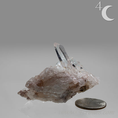Our Lithium Quartz crystals are to die for. These dazzling specimens are astonishingly crystal clear with the softest touches of pinks and mauves. The Lumerian lines are so crisp and clean you can almost hear the ancient stories pouring out of them. These beauties will take your breath away, we kid you not. www.4crones.com