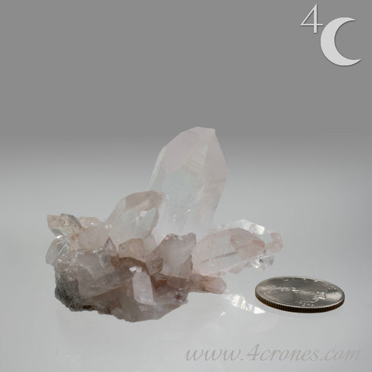 Our Lithium Quartz crystals are to die for. These dazzling specimens are astonishingly crystal clear with the softest touches of pinks and mauves. The Lumerian lines are so crisp and clean you can almost hear the ancient stories pouring out of them. These beauties will take your breath away, we kid you not. www.4crones.com