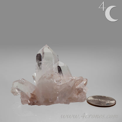 Our Lithium Quartz crystals are to die for. These dazzling specimens are astonishingly crystal clear with the softest touches of pinks and mauves. The Lumerian lines are so crisp and clean you can almost hear the ancient stories pouring out of them. These beauties will take your breath away, we kid you not. www.4crones.com