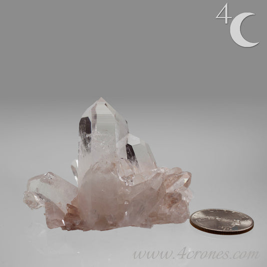 Our Lithium Quartz crystals are to die for. These dazzling specimens are astonishingly crystal clear with the softest touches of pinks and mauves. The Lumerian lines are so crisp and clean you can almost hear the ancient stories pouring out of them. These beauties will take your breath away, we kid you not. www.4crones.com