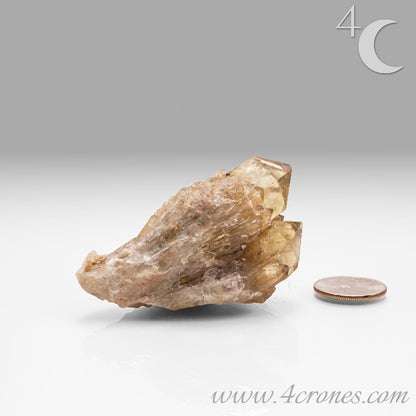 Kundalini Citrine Quartz is a stunning and rare variety of Citrine found exclusively in the Democratic Republic of Congo. This Natural Citrine is also characterized by a distinct formation of multiple terminated smaller Kundalini Quartz crystals.