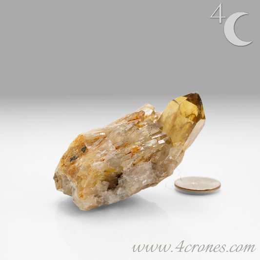 Kundalini Citrine Quartz is a stunning and rare variety of Citrine found exclusively in the Democratic Republic of Congo. This Natural Citrine is also characterized by a distinct formation of multiple terminated smaller Kundalini Quartz crystals.