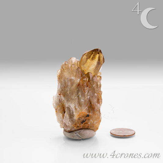 Kundalini Citrine Quartz is a stunning and rare variety of Citrine found exclusively in the Democratic Republic of Congo. This Natural Citrine is also characterized by a distinct formation of multiple terminated smaller Kundalini Quartz crystals.